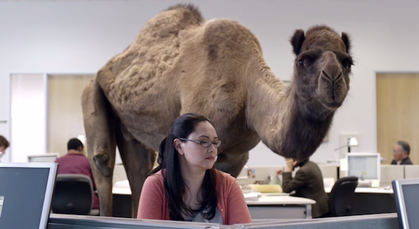 geico-hump-day