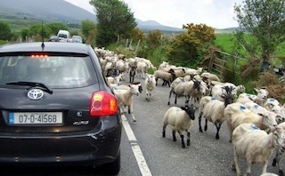 rush-hour-in-ireland-320x198