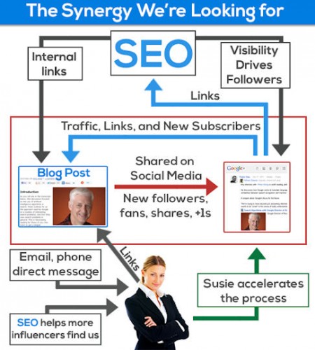 seo-synergy