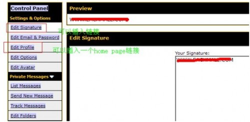 serp-5-500x245-1 serp-5